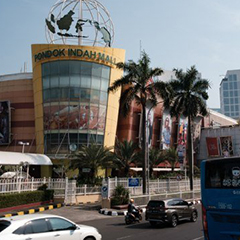 Gancit - PIM - Citos