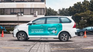 Pristine – StickMob